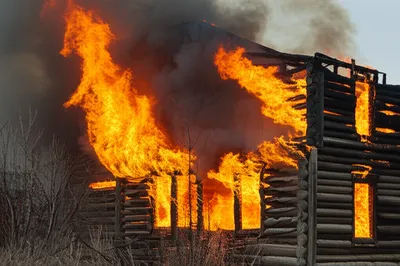 Illustration burns - Image 1