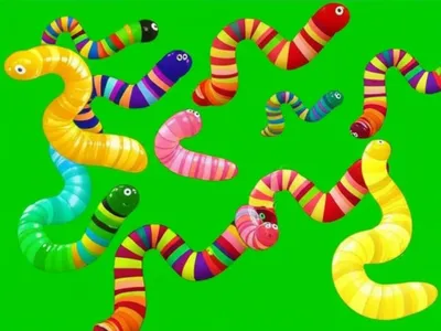 Illustration wiggles - Image 1