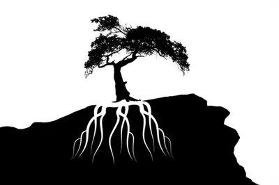 Illustration stay - Image 1