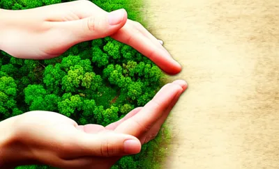 Illustration conserved - Image 1