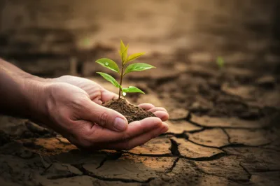 Illustration kindly - Image 1