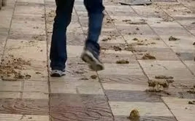 Illustration shitty - Image 3