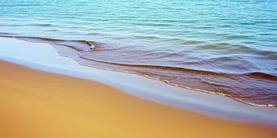 Illustration remission - Image 1