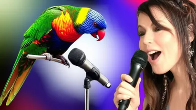 Illustration quoted - Image 1