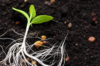 Illustration formative - Image 1