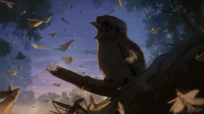 Illustration nightjars - Image 1