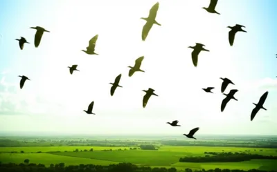 Illustration descend - Image 1