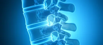 Illustration facet - Image 1