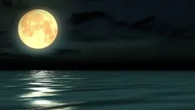 Illustration moonlight - Image 2