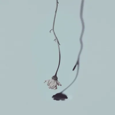 Illustration necked - Image 1