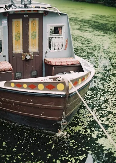 Hình ảnh minh họa hulking - Ảnh 2