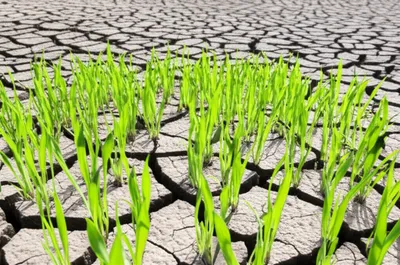 Illustration reclaiming - Image 1