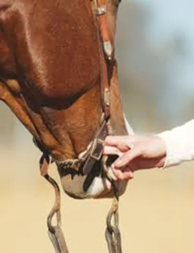 Illustration curb - Image 5