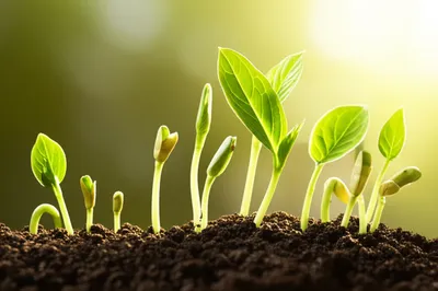 Illustration young - Image 1