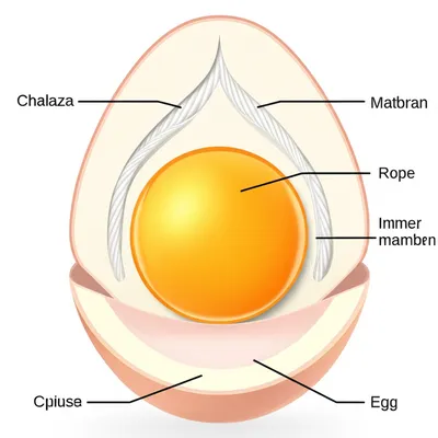 Illustration tread - Image 1