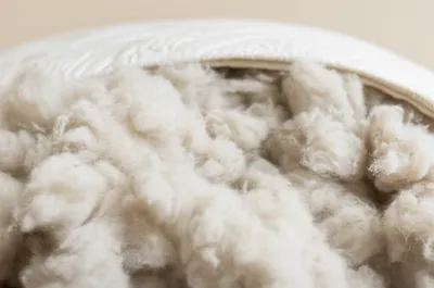 Illustration flocks - Image 1