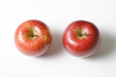 Illustration twice - Image 1