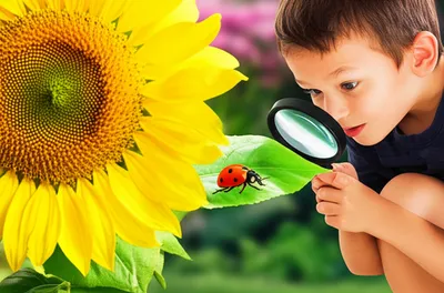 Illustration spying - Image 1