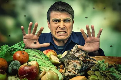 Illustration sicken - Image 1