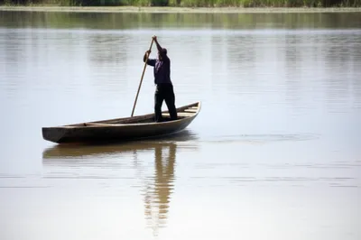 Illustration poled - Image 1