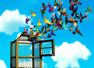 Illustration discharged - Image 1