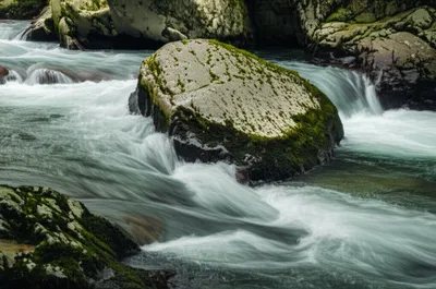 Illustration reflow - Image 1