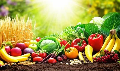 Illustration vegan - Image 1