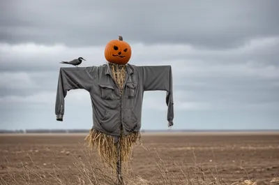 Illustration scarecrow - Image 1