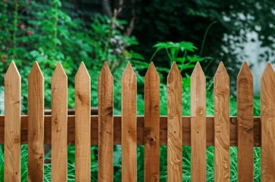 Illustration piked - Image 1