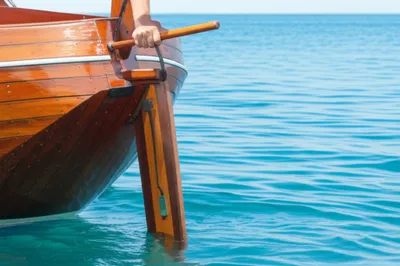 Illustration tiller - Image 1