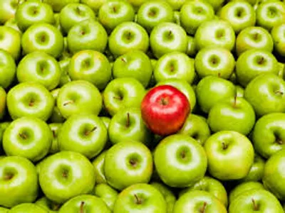 Illustration odd - Image 2