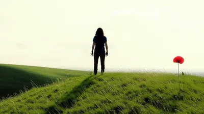 Illustration oversees - Image 1