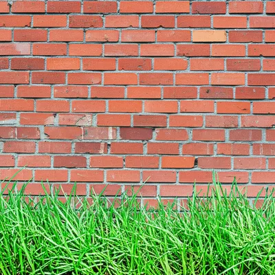 Illustration abated - Image 1