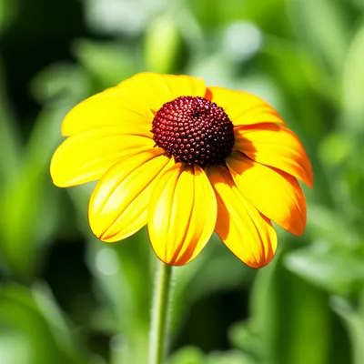 Illustration healed - Image 1