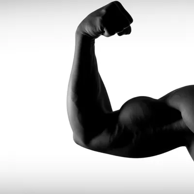 Illustration corporal - Image 1