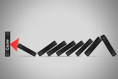 Hình ảnh minh họa follows - Ảnh 1