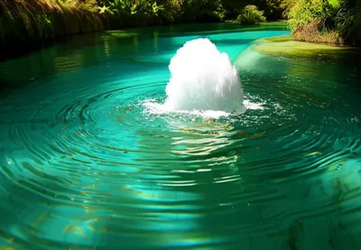 Illustration unadulterated - Image 1