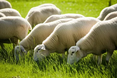 Illustration browse - Image 1