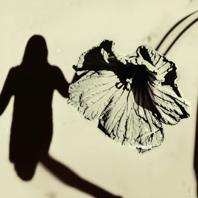 Illustration wounding - Image 1