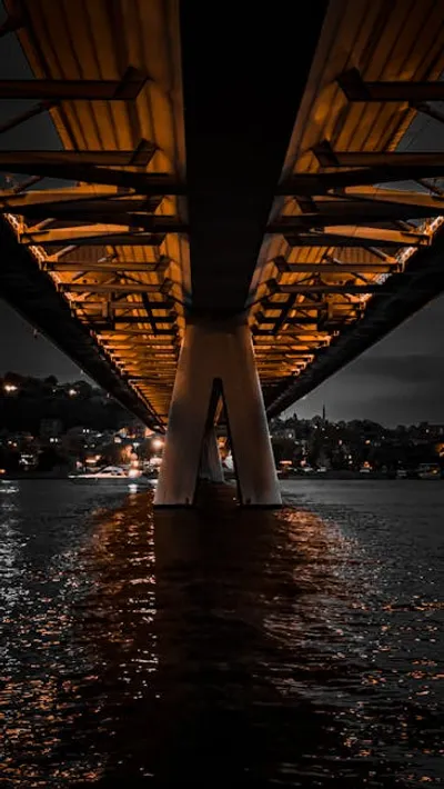 Illustration underbelly - Image 2