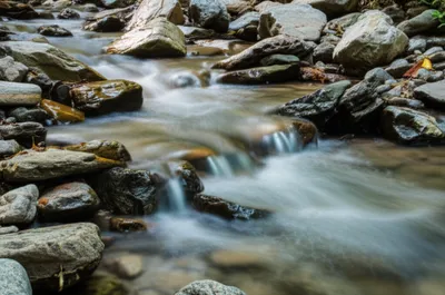 Illustration rumble - Image 1