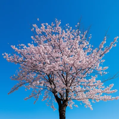 Illustration yearly - Image 1