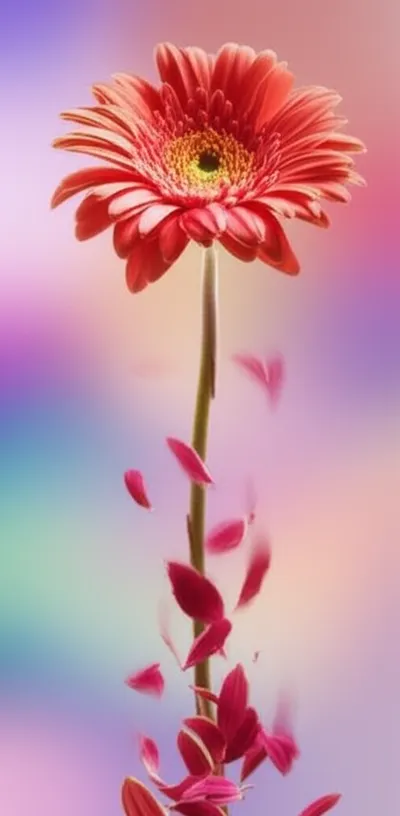 Illustration parted - Image 1