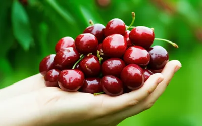 Illustration grips - Image 1