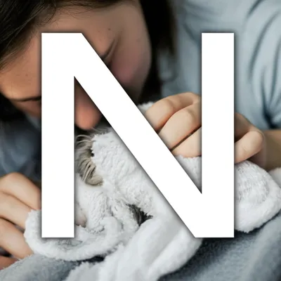 Illustration ens - Image 1