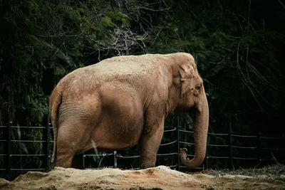 Illustration sags - Image 2