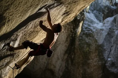 Illustration swarmed - Image 1