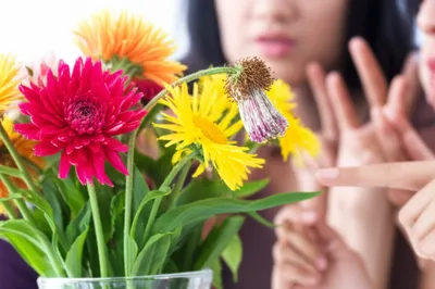 Illustration slag - Image 1