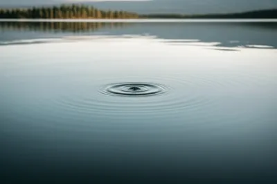 Illustration celerity - Image 1