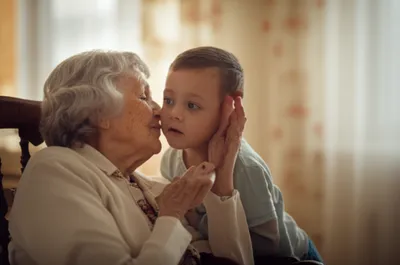 Illustration hark - Image 1